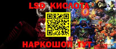 винт Добрянка