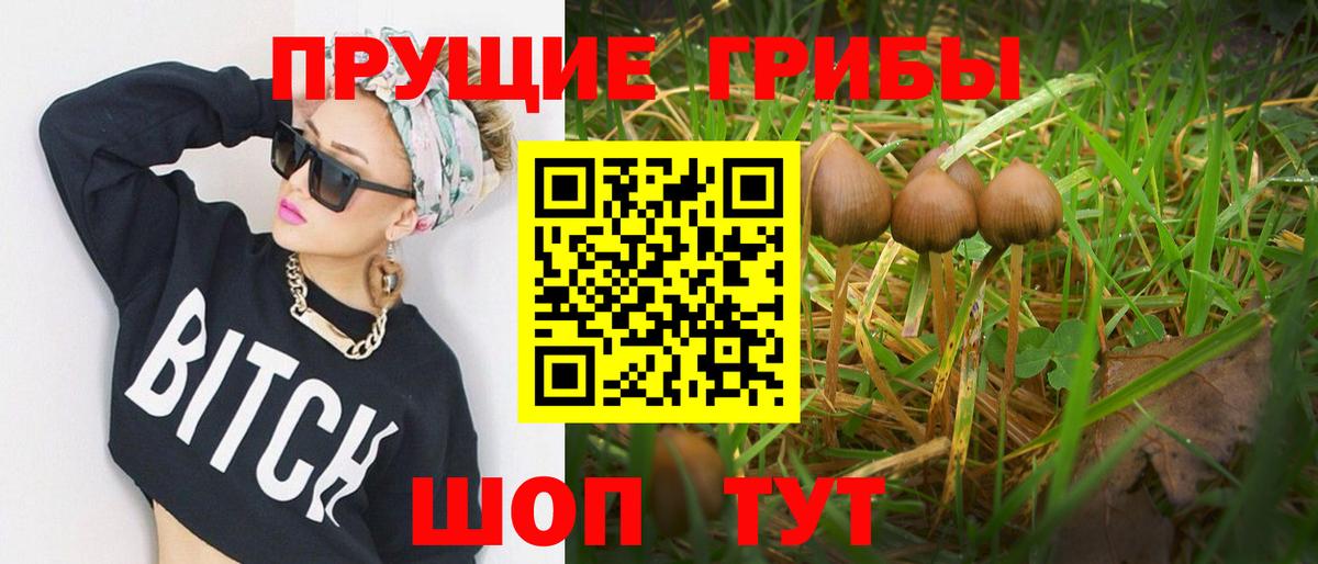 Псилоцибиновые грибы прущие грибы Михайловка