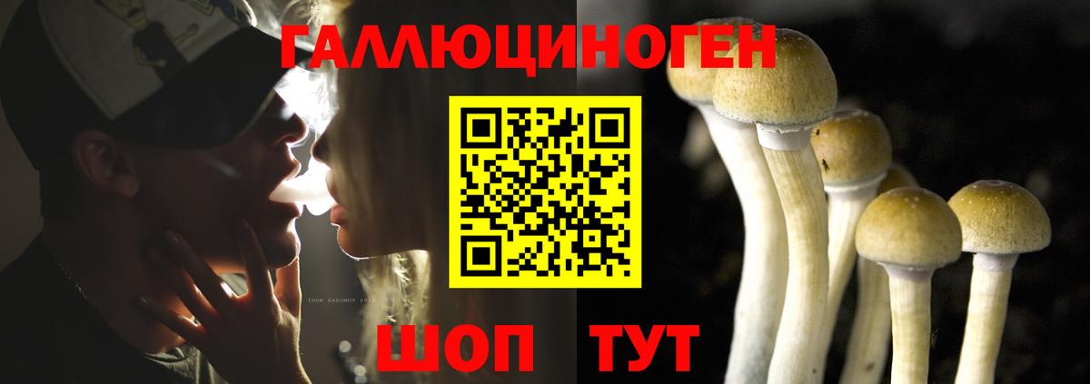 Псилоцибиновые грибы прущие грибы  Вход с VPN  Михайловка 